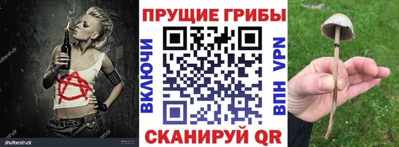 Псилоцибиновые грибы мухоморы  мега как зайти  Бабаево 